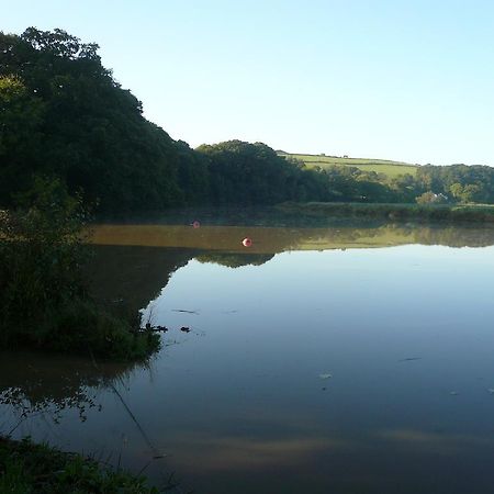 Rumleigh Farm Bere Alston Экстерьер фото