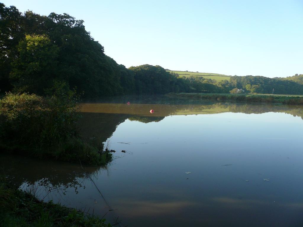 Rumleigh Farm Bere Alston Экстерьер фото